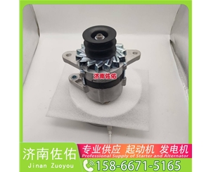 广东0001372003起动机1770321 XCMG XZJ5160THB WP12 发电机