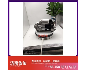 广东612600091115起动机1002014660 潍柴 发电机 Zoomlion ZLJ5419THB WP12